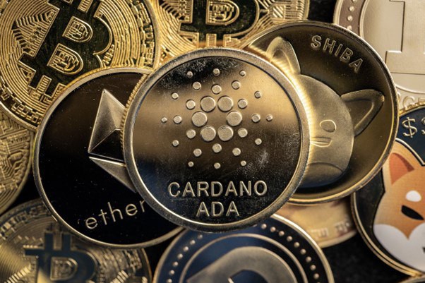 數字貨幣投資選擇：Cardano、DigiToads和Monero