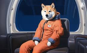 柴犬 (SHIB) 將會發(fā)生什么？ 首席開發(fā)人員提示主要版本