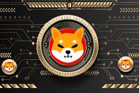 SHIB 進(jìn)展順利