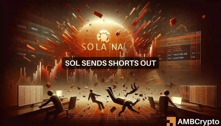 Solana價(jià)格預(yù)測(cè)備受關(guān)注超900萬(wàn)美元被清算
