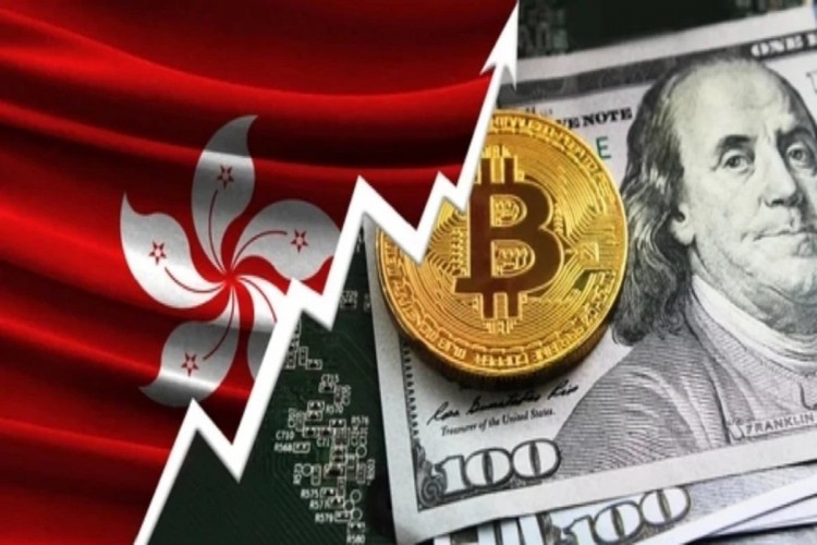 公司將提供支持。