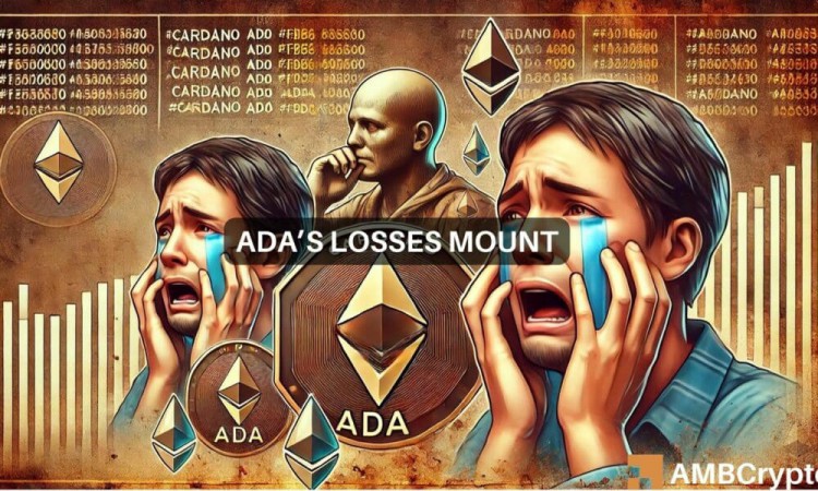 Cardano：只有 30% 的 ADA 持有者獲利——接下來會發(fā)生什么？