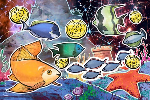 分析師稱，比特幣跌破 70,000 美元的日子屈指可