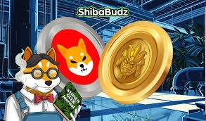 # SHIB Meme Coin：柴犬加密貨幣的崛起