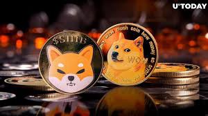 **柴犬 (SHIB)：從表情包幣到市場(chǎng)競(jìng)爭(zhēng)者