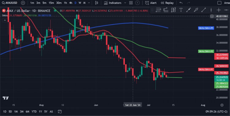 的價(jià)格表現(xiàn)將如何？