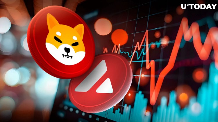 Shiba Inu (SHIB) 價格上漲 10%，領(lǐng)先 AVAX