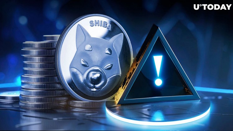 SHIB 頂級(jí)開(kāi)發(fā)人員向 Shiba Inu 軍隊(duì)發(fā)出重要警告