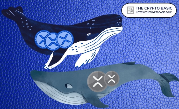 巨鯨囤積XRP,價(jià)格飆升 巨鯨囤積XRP,價(jià)格飆升