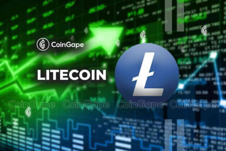 月份中，LTC價格猛漲30%至73.2美元，網(wǎng)絡(luò)顯示強(qiáng)勁增長