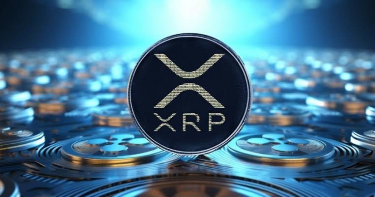市場大幅下跌，但尚不清楚牛市是否會持續(xù)。 XRP 失?。?><br><br>      </article>
        <div   id="hmjxnkxi6v"   class="art-copyright br mb">
          <div><span>本文地址：</span><a href="http://www.b2c158.com.cn/ask/23940.html">http://www.b2c158.com.cn/ask/23940.html</a></div>
          <div><span>版權(quán)聲明：</span>本站所有文章皆是來自互聯(lián)網(wǎng),如內(nèi)容侵權(quán)可以聯(lián)系我們刪除！</div>
        </div>
<div   class="hmjxnkxi6v"   id="left_adb"></div>
      <nav class="article-nav">
<span id="hmjxnkxi6v"    class="article-nav-prev">上一篇：<a href="/ask/23939.html">SPELLFIRE幣怎么樣?SPELLFIRE幣現(xiàn)貨在哪里購買?</a></span><span id="hmjxnkxi6v"    class="article-nav-next">下一篇：<a href="/ask/23941.html">XLS幣怎么樣?XLS幣還會繼續(xù)上漲嗎?</a></span></nav>
      <div   id="hmjxnkxi6v"   class="related-post">
        <h6>相關(guān)推薦</h6>
        <ul class="related-box clearfix">
        <li> <a href="/show/7518.html" title="BTC減半后牛市預(yù)測"><img src="/images/btc/333.jpeg" alt="BTC減半后牛市預(yù)測"><span>BTC減半后牛市預(yù)測</span></a> </li><li> <a href="/show/7516.html" title="牛市中的關(guān)鍵信息規(guī)避風(fēng)險"><img src="/images/btc/160.jpeg" alt="牛市中的關(guān)鍵信息規(guī)避風(fēng)險"><span>牛市中的關(guān)鍵信息規(guī)避風(fēng)險</span></a> </li><li> <a href="/show/7512.html" title="Tether首席執(zhí)行官：USDT規(guī)模已達(dá)1073億美元，成為新興市場最常用的數(shù)字美元"><img src="/images/btc/325.jpeg" alt="Tether首席執(zhí)行官：USDT規(guī)模已達(dá)1073億美元，成為新興市場最常用的數(shù)字美元"><span>Tether首席執(zhí)行官：USDT規(guī)模已達(dá)1073億美元，成為新興市場最常用的數(shù)字美元</span></a> </li><li> <a href="/show/7509.html" title="以太坊Meme幣交易者實現(xiàn)693倍收益，引發(fā)市場關(guān)注"><img src="/images/btc/280.jpeg" alt="以太坊Meme幣交易者實現(xiàn)693倍收益，引發(fā)市場關(guān)注"><span>以太坊Meme幣交易者實現(xiàn)693倍收益，引發(fā)市場關(guān)注</span></a> </li><li> <a href="/show/7501.html" title="Cryptocurrency市場崩盤警告"><img src="/images/btc/232.jpeg" alt="Cryptocurrency市場崩盤警告"><span>Cryptocurrency市場崩盤警告</span></a> </li>   
        </ul>
      </div>
    </div>
    <aside class="sidebar"><div   class="hmjxnkxi6v"   id="right_ada"></div>
      <div   id="hmjxnkxi6v"   class="widget">
        <h3 class="widget_tit">熱門標(biāo)簽</h3>
        <div   id="hmjxnkxi6v"   class="tag_list">
          <ul>
<li><a href="/tag/98222.html"><span>BACK</span></a></li><li><a href="/tag/97336.html"><span>UIDC</span></a></li><li><a href="/tag/100917.html"><span>CHAR</span></a></li><li><a href="/tag/91935.html"><span>DALC</span></a></li><li><a href="/tag/595.html"><span>hook</span></a></li><li><a href="/tag/94923.html"><span>CTI</span></a></li><li><a href="/tag/83753.html"><span>如何在</span></a></li><li><a href="/tag/77968.html"><span>MARO</span></a></li><li><a href="/tag/88335.html"><span>讓你</span></a></li><li><a href="/tag/96390.html"><span>CARMIN</span></a></li><li><a href="/tag/94049.html"><span>ELC</span></a></li><li><a href="/tag/83110.html"><span>回調(diào)</span></a></li><li><a href="/tag/99036.html"><span>DASTS</span></a></li><li><a href="/tag/89144.html"><span>ALICE</span></a></li><li><a href="/tag/92723.html"><span>MEC</span></a></li><li><a href="/tag/95335.html"><span>VADS</span></a></li><li><a href="/tag/717.html"><span>coindesk</span></a></li><li><a href="/tag/100.html"><span>LUNC</span></a></li><li><a href="/tag/9606.html"><span>加息</span></a></li><li><a href="/tag/83260.html"><span>尋找</span></a></li>		
</ul>
        </div>
      </div>
      <div   id="hmjxnkxi6v"   class="widget d_postlist">
        <h3 class="widget_tit">熱門排行</h3>
        <ul>
<li> <a href="/show/1923.html" title="如何創(chuàng)建帳戶并開始賺取 Sidra 幣"> <span id="hmjxnkxi6v"    class="thumbnail"><img src="/images/btc/49.jpeg" alt="如何創(chuàng)建帳戶并開始賺取 Sidra 幣"></span><span id="hmjxnkxi6v"    class="text">如何創(chuàng)建帳戶并開始賺取 Sidra 幣</span> <span id="hmjxnkxi6v"    class="muted"><i class="fa fa-clock-o"></i> 2023-11-17</span> <span id="hmjxnkxi6v"    class="muted"><span id="hmjxnkxi6v"    class="ds-thread-count" data-replace="1"><i class="fa fa-eye"></i> 1553</span></span> </a> </li><li> <a href="/show/4811.html" title="Aleo主網(wǎng)上線預(yù)估價格"> <span id="hmjxnkxi6v"    class="thumbnail"><img src="/images/20240119/2940303865241-1.jpg" alt="Aleo主網(wǎng)上線預(yù)估價格"></span><span id="hmjxnkxi6v"    class="text">Aleo主網(wǎng)上線預(yù)估價格</span> <span id="hmjxnkxi6v"    class="muted"><i class="fa fa-clock-o"></i> 2024-01-19</span> <span id="hmjxnkxi6v"    class="muted"><span id="hmjxnkxi6v"    class="ds-thread-count" data-replace="1"><i class="fa fa-eye"></i> 1385</span></span> </a> </li><li> <a href="/show/3336.html" title="加密貨幣市場的崩潰:shiba幣在2024年能否達(dá)到1美元?"> <span id="hmjxnkxi6v"    class="thumbnail"><img src="/images/btc/235.jpeg" alt="加密貨幣市場的崩潰:shiba幣在2024年能否達(dá)到1美元?"></span><span id="hmjxnkxi6v"    class="text">加密貨幣市場的崩潰:shiba幣在2024年能否達(dá)到1美元?</span> <span id="hmjxnkxi6v"    class="muted"><i class="fa fa-clock-o"></i> 2023-12-02</span> <span id="hmjxnkxi6v"    class="muted"><span id="hmjxnkxi6v"    class="ds-thread-count" data-replace="1"><i class="fa fa-eye"></i> 1344</span></span> </a> </li><li> <a href="/show/2072.html" title="我個人發(fā)明的大額出金方法"> <span id="hmjxnkxi6v"    class="thumbnail"><img src="/images/btc/99.jpeg" alt="我個人發(fā)明的大額出金方法"></span><span id="hmjxnkxi6v"    class="text">我個人發(fā)明的大額出金方法</span> <span id="hmjxnkxi6v"    class="muted"><i class="fa fa-clock-o"></i> 2023-11-21</span> <span id="hmjxnkxi6v"    class="muted"><span id="hmjxnkxi6v"    class="ds-thread-count" data-replace="1"><i class="fa fa-eye"></i> 1209</span></span> </a> </li><li> <a href="/show/1617.html" title="本金10,000，想在2025年底增加1000倍，有什么辦法嗎？"> <span id="hmjxnkxi6v"    class="thumbnail"><img src="/images/20231114/1749346-1.jpg" alt="本金10,000，想在2025年底增加1000倍，有什么辦法嗎？"></span><span id="hmjxnkxi6v"    class="text">本金10,000，想在2025年底增加1000倍，有什么辦法嗎？</span> <span id="hmjxnkxi6v"    class="muted"><i class="fa fa-clock-o"></i> 2023-11-14</span> <span id="hmjxnkxi6v"    class="muted"><span id="hmjxnkxi6v"    class="ds-thread-count" data-replace="1"><i class="fa fa-eye"></i> 834</span></span> </a> </li>  
</ul>
      </div>
<div   class="hmjxnkxi6v"   id="right_adb"></div>
    </aside>
  </div>
</section>
<footer class="footer">
  <div   id="hmjxnkxi6v"   class="footer-inner">
<div style="padding:0 20px;overflow:hidden;">
<div   id="hmjxnkxi6v"   class="copyright"> Copyright ? 2022-2024 幣圈ICO · <a  target="_blank" rel="nofollow">桂ICP備2023010233號-2</a> </div>
<div   id="hmjxnkxi6v"   class="trackcode"><a href="/map/sitemap.xml" target="_blank">xml地圖</a></div>
</div>
  </div>
</footer>
<div   class="hmjxnkxi6v"   id="backtop" class="backtop">
  <div   id="hmjxnkxi6v"   class="bt-box top" title="返回頂部"> <i class="fa fa-angle-up"></i> </div>
  <div   id="hmjxnkxi6v"   class="bt-box bottom" title="網(wǎng)站底部"> <i class="fa fa-angle-down"></i> </div>
</div>
<div   class="hmjxnkxi6v"   id="menu-item"></div>
 




<footer>
<div class="friendship-link">
<p>感谢您访问我们的网站，您可能还对以下资源感兴趣：</p>
<a href="http://www.b2c158.com.cn/" title="噜噜影院">噜噜影院</a>

<div class="friend-links">


</div>
</div>

</footer>


<script>
(function(){
    var bp = document.createElement(