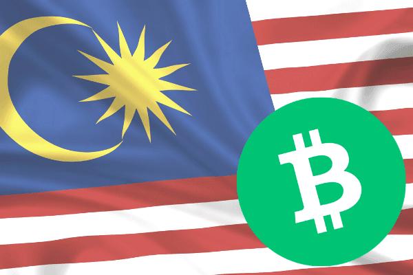 加密貨幣市場的崩潰:shiba幣在2024年能否達到1美元?