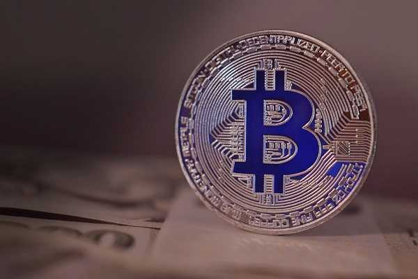 加密貨幣市場的崩潰:shiba幣在2024年能否達(dá)到1美元?