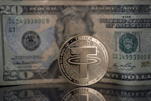 加密貨幣市場的崩潰:shiba幣在2024年能否達到1美元?