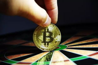 加密貨幣市場(chǎng)的崩潰:shiba幣在2024年能否達(dá)到1美元?